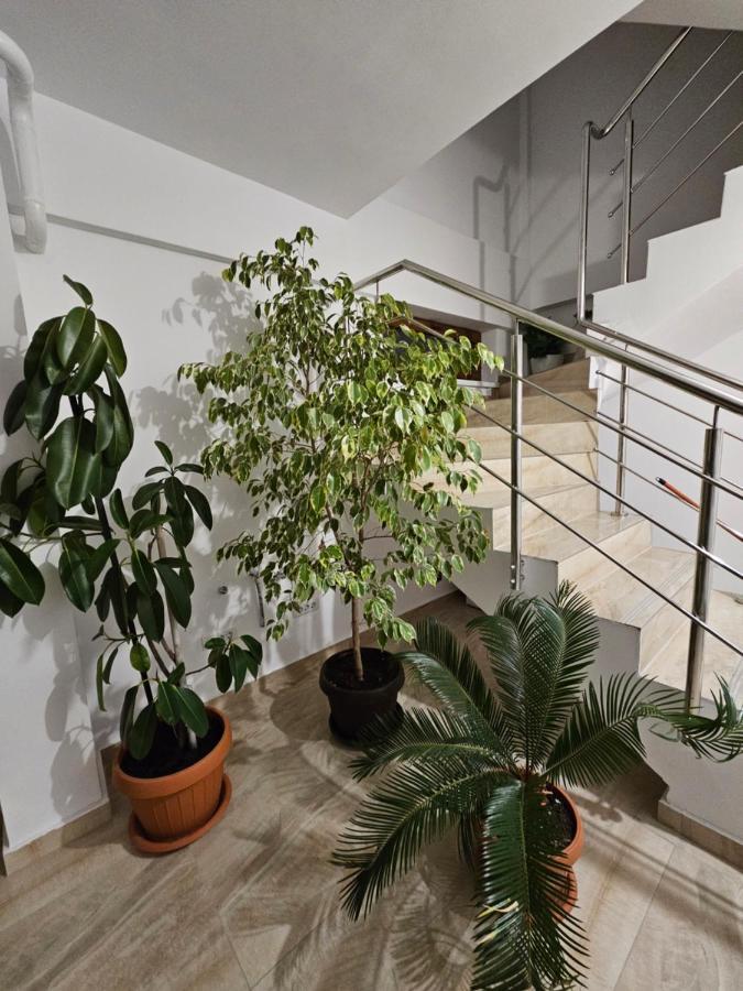 Didi Apartament Крайова Екстериор снимка